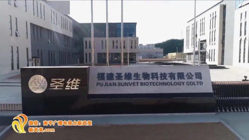 念好 五字經(jīng) 南平引來 金鳳凰