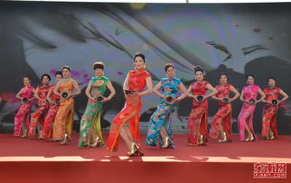 南平人才 鄉(xiāng)村振興的綠色引擎